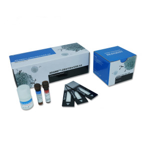 ADAMII™ CD3/CD4/CD8 Kit
